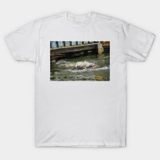 Two Alligators T-Shirt